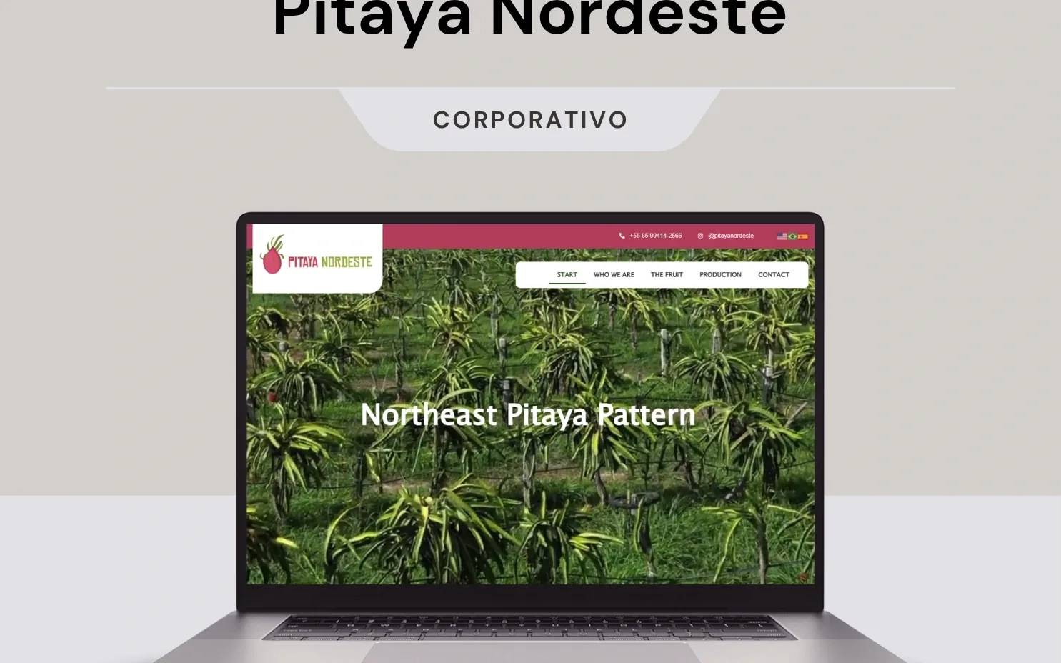 Página inicial do site da Pitaya Nordeste exibida em um notebook