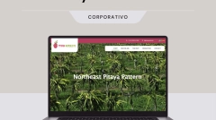 pitaya-nordeste-desenvolvimento-site-gilmar-ux
