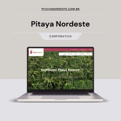 pitaya-nordeste-desenvolvimento-site-gilmar-ux