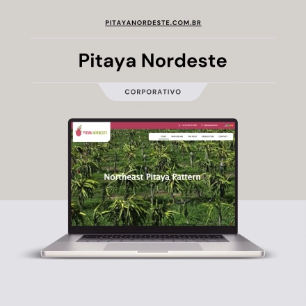 pitaya-nordeste-desenvolvimento-site-gilmar-ux